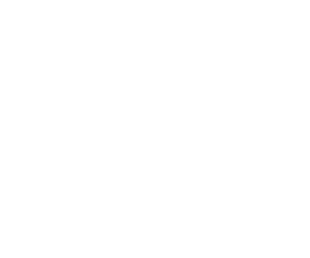 Anke Auer Logo in Weiß